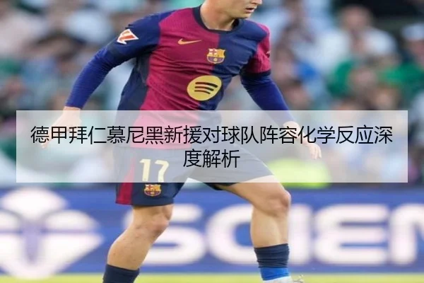 德甲拜仁慕尼黑新援对球队阵容化学反应深度解析